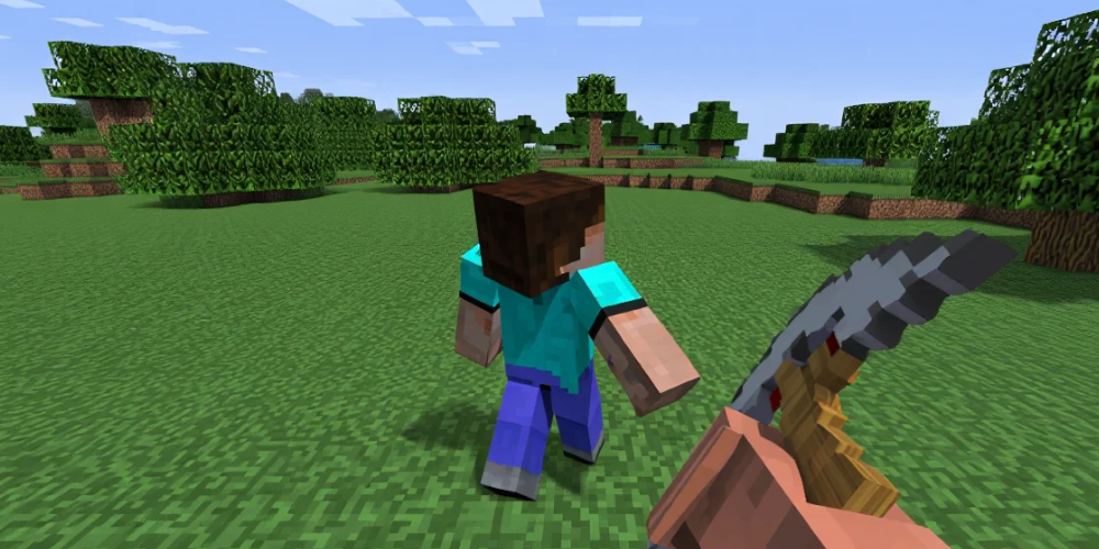 Minecraft video game PS4